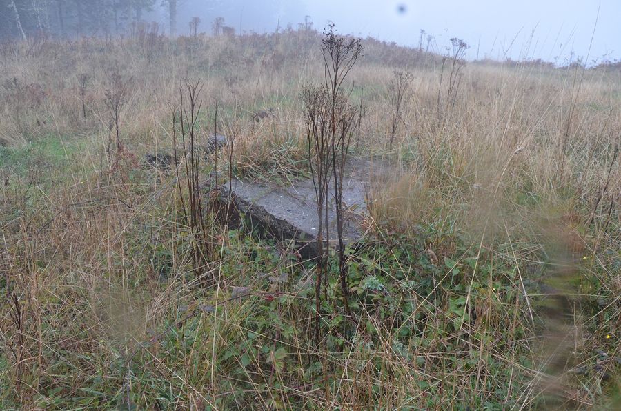 A concrete remnant and grass at a foggy Dean Mountain stop.