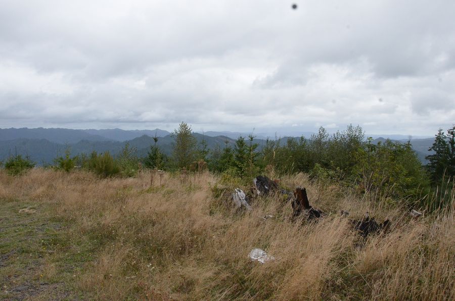 Cougar Pass Pano, frame 0913, 2017-10-10