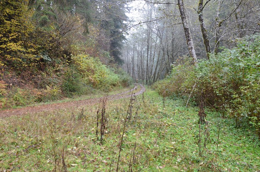 Old Maids Cabin, frame 0979, 2017-11-08