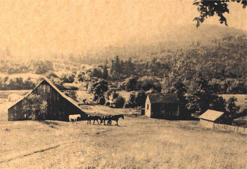 Moore family farm on Soap Creek, photographed about 1899–1900 by Samuel H. Moore