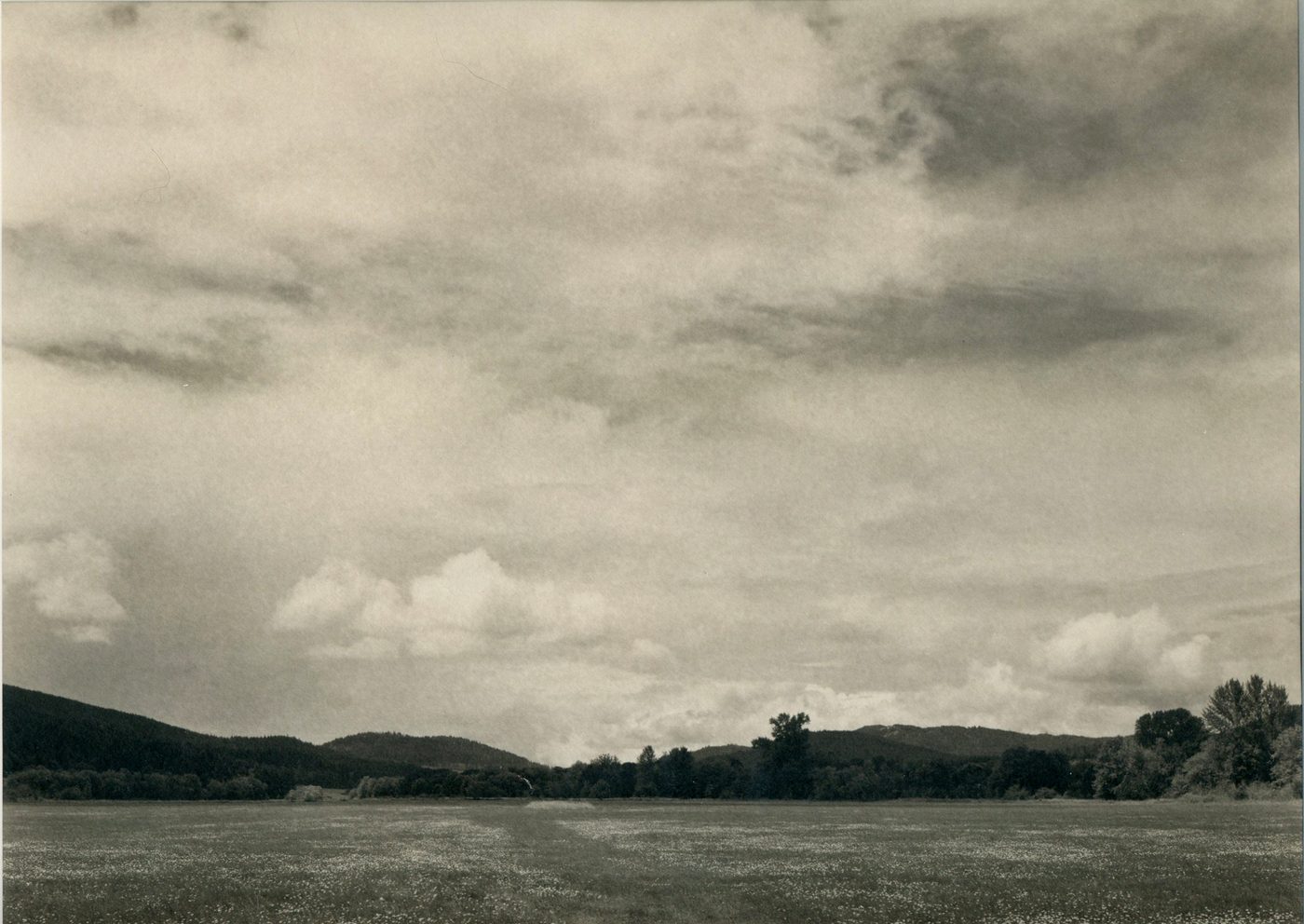 Open farmland and wooded hills in Soap Creek Valley.