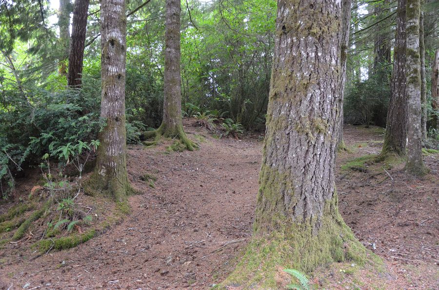 Huckleberry Point, frame 0895, 2017-10-10
