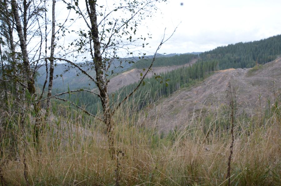 N Marlow Ridge, frame 0881, 2017-10-10