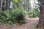 Huckleberry Point, frame 0897, 2017-10-10