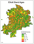 Elliott Forest Current Tree Ages Map