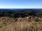 Deans Mt, frame 1492, 2017-12-06